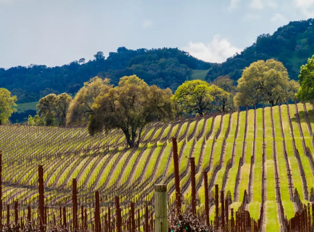 Alexander Valley, Califórnia