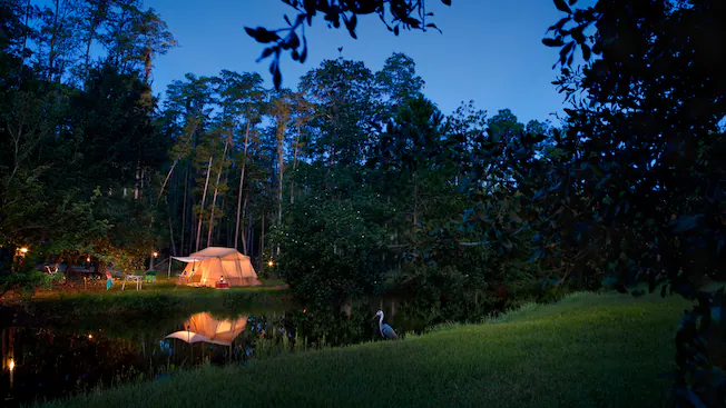 Acampamento no Fort Wilderness Resort, na Disney