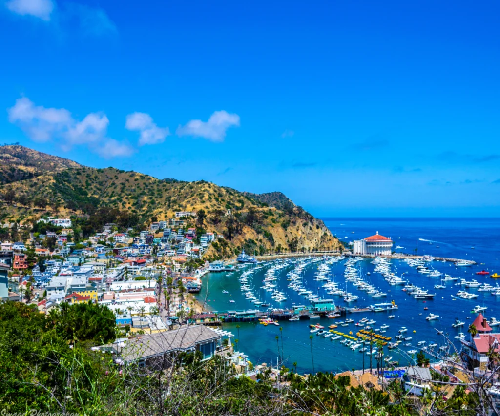 Catalina Island