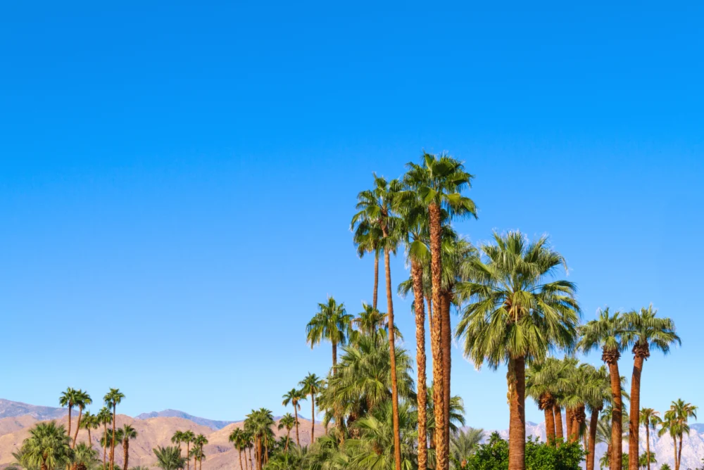 Coachella Valley, na Califórnia