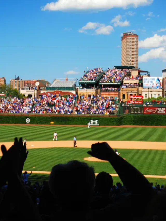 Vai assistir um jogo da MLB? As melhores dicas para você curtir uma partida de beisebol ‘like a pro’