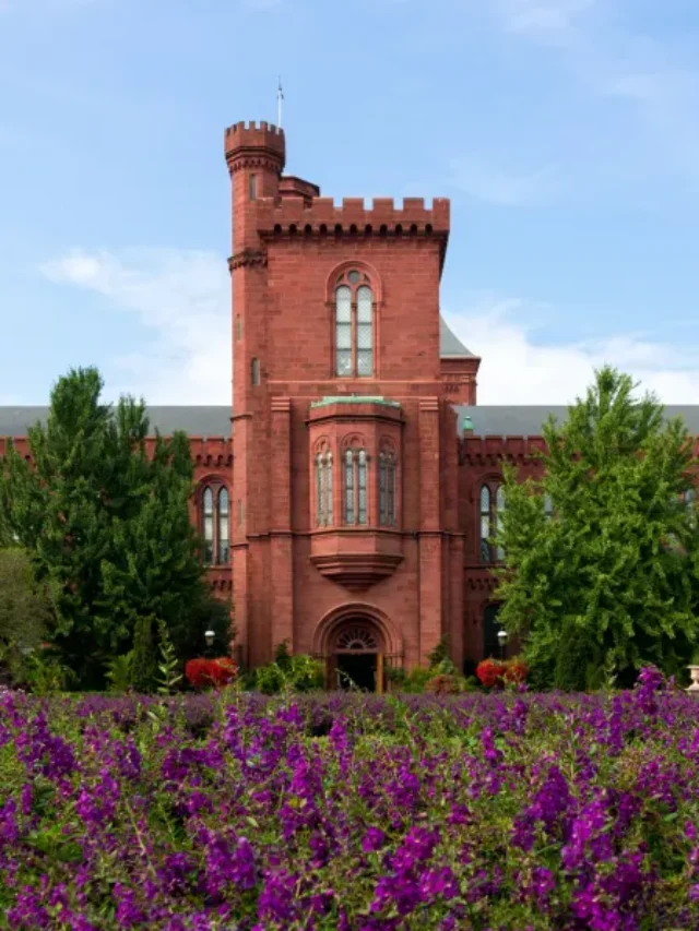 Os melhores museus em DC para você visitar