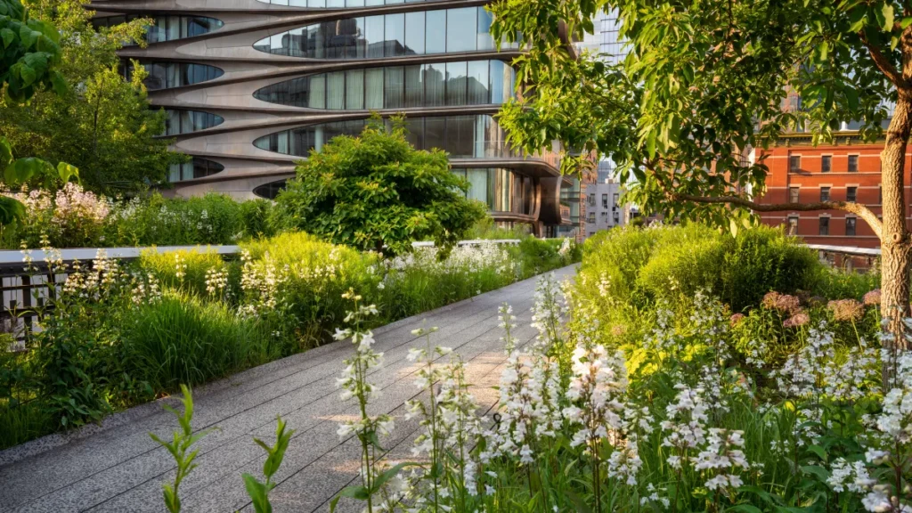 Highline